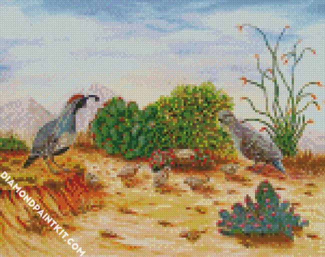 Gambel birds diamond paintings