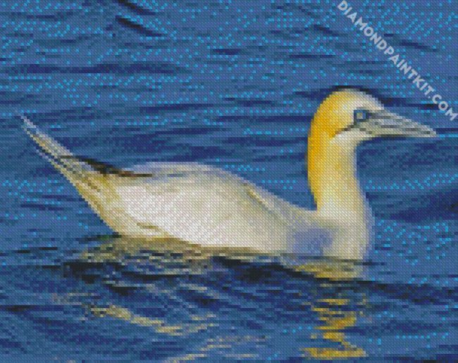 Gannet bird diamond paintings