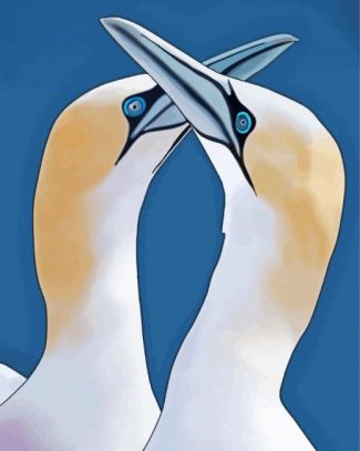 Gannets illustration diamond painting