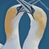 Gannets illustration diamond paintings