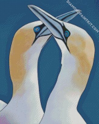 Gannets illustration diamond paintings