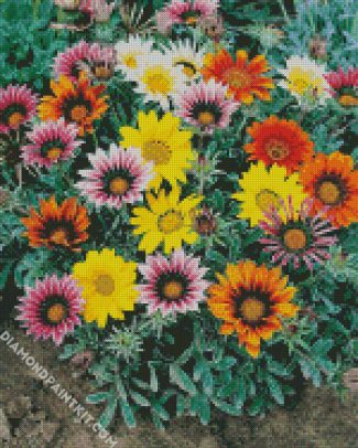 Gazania flowers diamond paintings