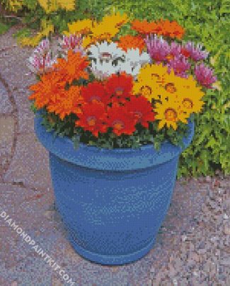 Gazanias diamond paintings