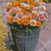 Gazanias flowers diamond paintings