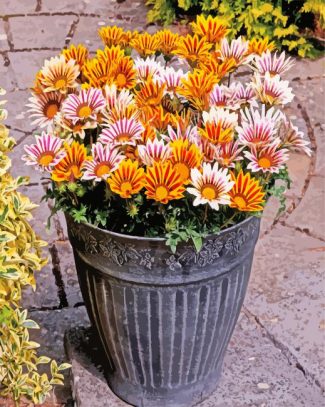 Gazanias flowers diamond painting