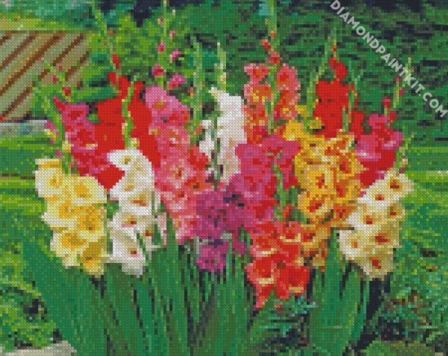 Gladiolus flowers diamond paintings