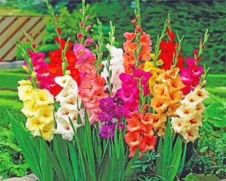 Gladiolus flowers diamond painting