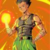 Gon Freecss Art diamond painting