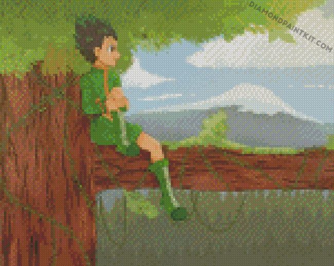 Gon Freecss diamond paintings