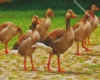 Gooses birds diamond paintings