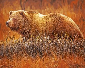 Grizzly Bear diamond paintings