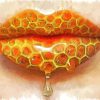 Honey Lips diamond painting