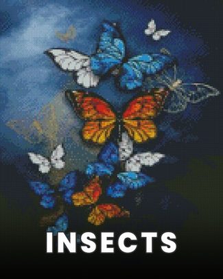 Insects