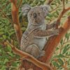 Koala Animal diamond paintings