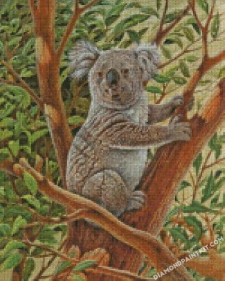 Koala Animal diamond paintings