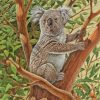 Koala Animal diamond painting