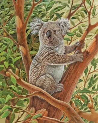 Koala Animal diamond painting