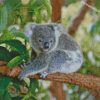 Koala On Tree Branch diamond paintings