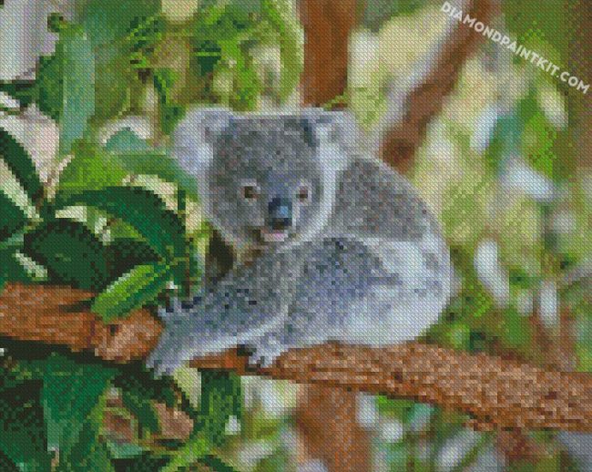 Koala On Tree Branch diamond paintings