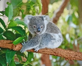 Koala On Tree Branch diamond painting