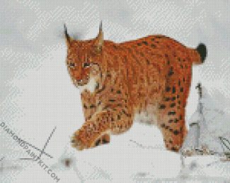 LYNX diamond paintings