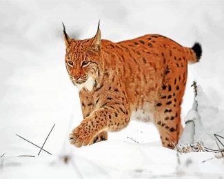 LYNX diamond painting