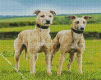 Lurcher dogs diamond paintings