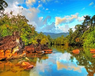 Madagascar Masoala National Park diamond painting