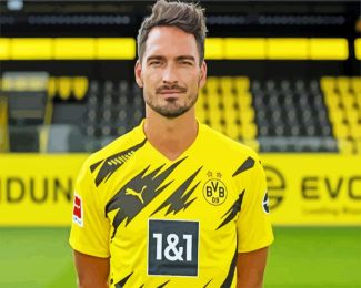 Mats Hummels diamond painting