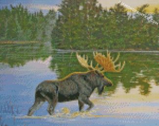 Moose In Lake diamond paintings