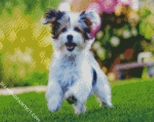 Morkie dog diamond paintings