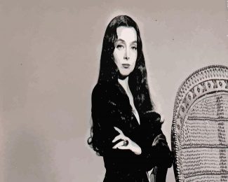 Morticia diamond paintings