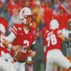 Nebraska Cornhuskers football sport diamond paintings