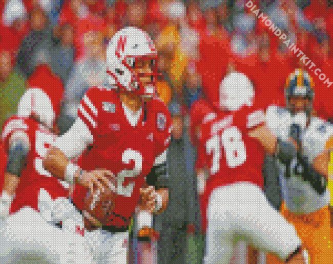 Nebraska Cornhuskers football sport diamond paintings