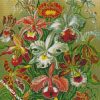 Orchidae by Haeckel diamond paintings