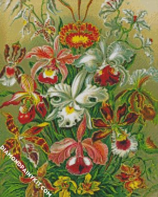 Orchidae by Haeckel diamond paintings