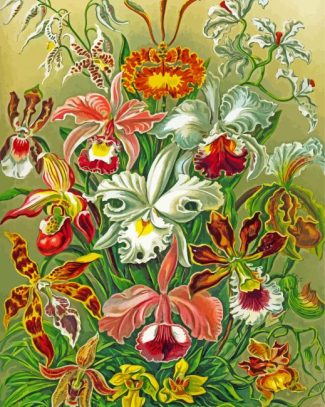 Orchidae by Haeckel diamond paintings