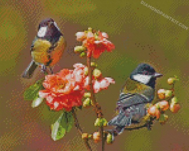 Parus birds diamond paintings