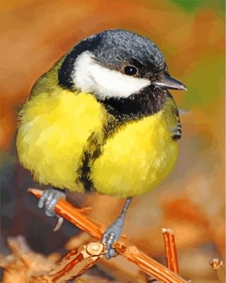 Parus major bird diamond paintings