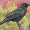 Raven Bird diamond paintings