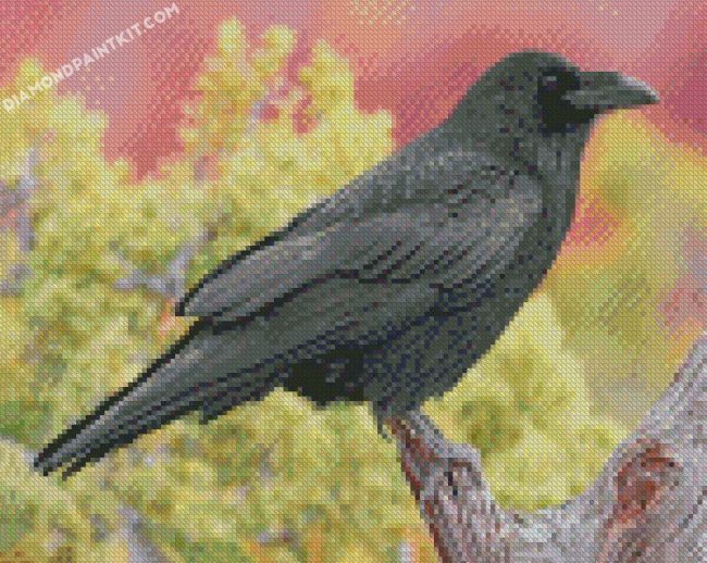 Raven Bird diamond paintings