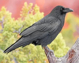 Raven Bird diamond painting