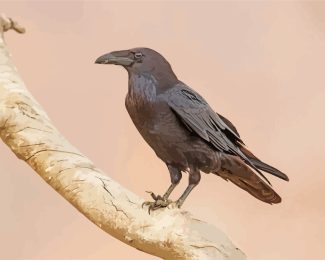 Raven On Branch diamond painting