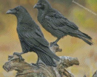 Ravens Birds diamond paintings