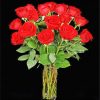 Red roses diamond painting