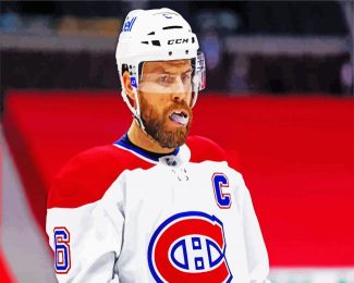 Shea Weber habs diamond painting