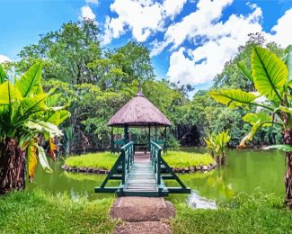 Sir Seewoosagur Ramgoolam Botanical Garden mauritius diamond paintings