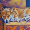 Sleepy Corgi Dog diamond paintings