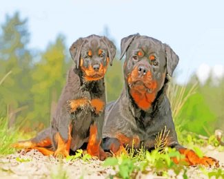 The Rottweiler Dogs diamond painting