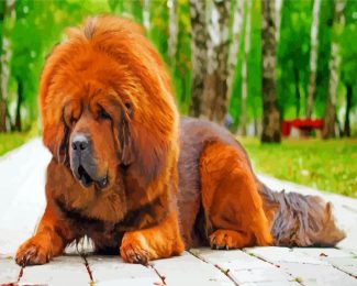 Tibetan Mastiff diamond painting